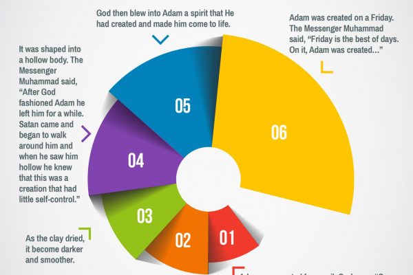 stages of adams creation